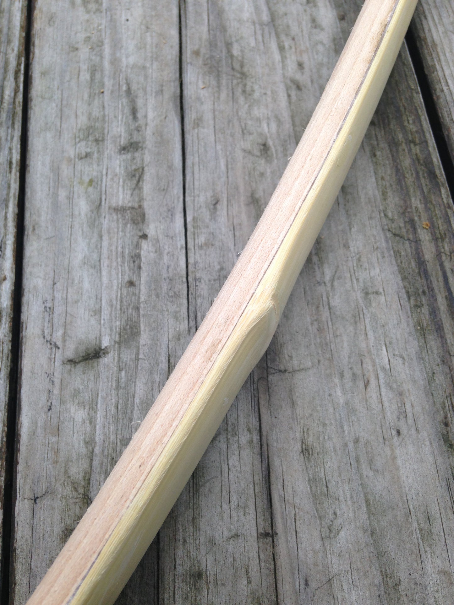64" You-Finish Bamboo Backed Hickory Recurve